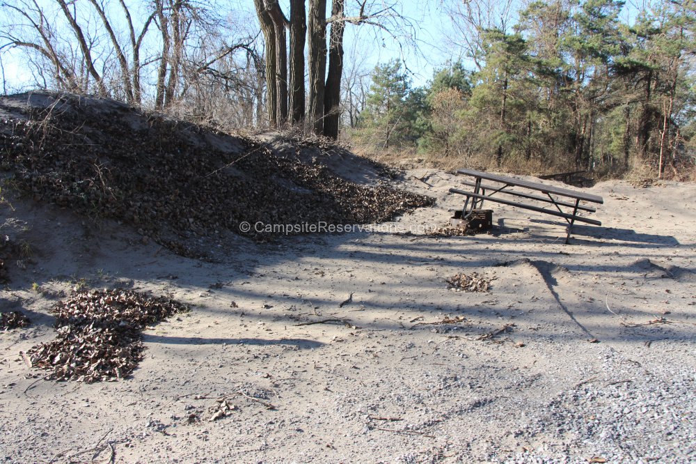 Campsite 207 in Cottonwood Campground at Long Point Provincial Park