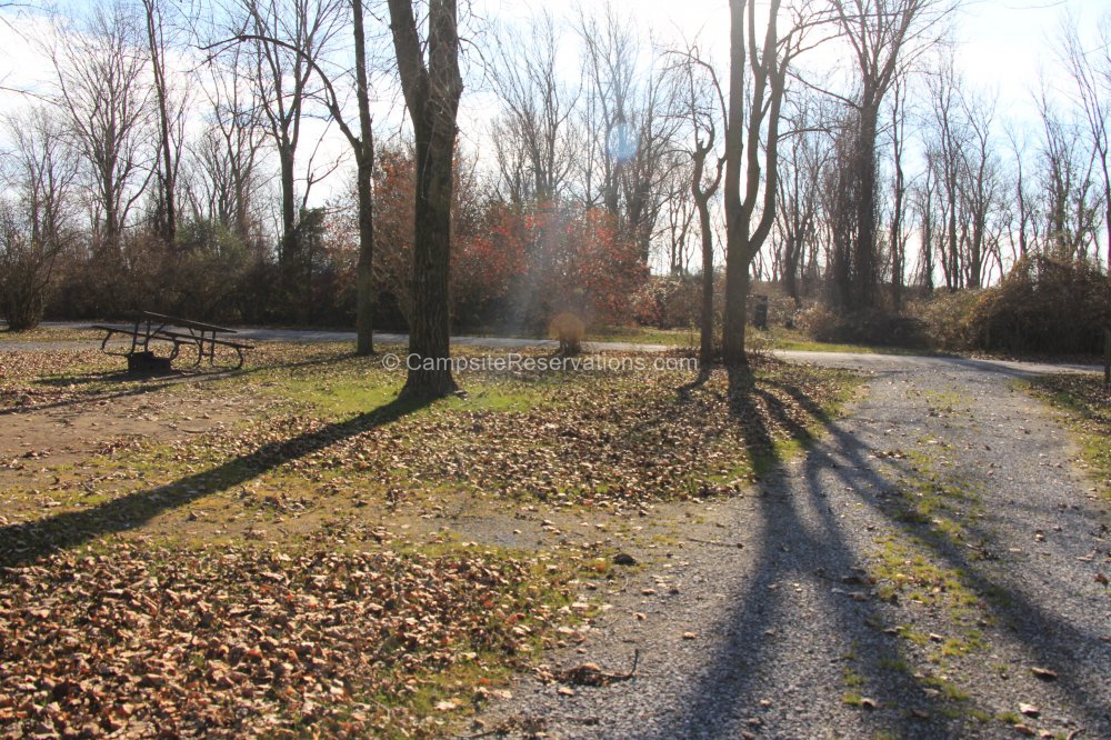 Campsite 25 in Firefly Campground at Long Point Provincial Park
