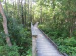 MacGregor Point Provincial Park, Ontario, Canada. Boardwalk at start of Tower Trail
