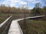 MacGregor Point Provincial Park, Ontario, Canada. Boardwalk through Ash Swamp on Huron Fringe Trail
