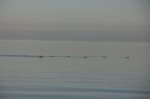 MacGregor Point Provincial Park, Ontario, Canada. 