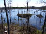 Click to enlarge MacGregor Point Provincial Park, Ontario, Canada. Ducks Unlimited Pond at Tower Trail