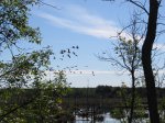 MacGregor Point Provincial Park, Ontario, Canada. Geese flying in over marsh
