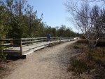 MacGregor Point Provincial Park, Ontario, Canada. Huron Fringe trail along shore