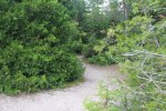 MacGregor Point Provincial Park, Ontario, Canada. Many trails throughout park