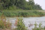 MacGregor Point Provincial Park, Ontario, Canada. Natural shoreline