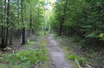 MacGregor Point Provincial Park, Ontario, Canada. Pathways between camping loops.