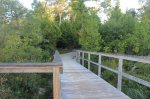 MacGregor Point Provincial Park, Ontario, Canada. Platform at watersnake pond