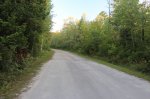 MacGregor Point Provincial Park, Ontario, Canada. Road to Old Farm trail.