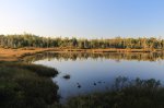 MacGregor Point Provincial Park, Ontario, Canada. Water snake pond