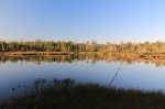 MacGregor Point Provincial Park, Ontario, Canada. Watersnake pond.