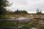MacGregor Point Provincial Park, Ontario, Canada. Wetland in campground