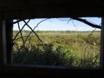 MacGregor Point Provincial Park, Ontario, Canada. view through windows in bird blind