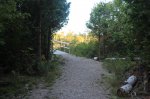 MacGregor Point Provincial Park, Ontario, Canada. watersnake poND