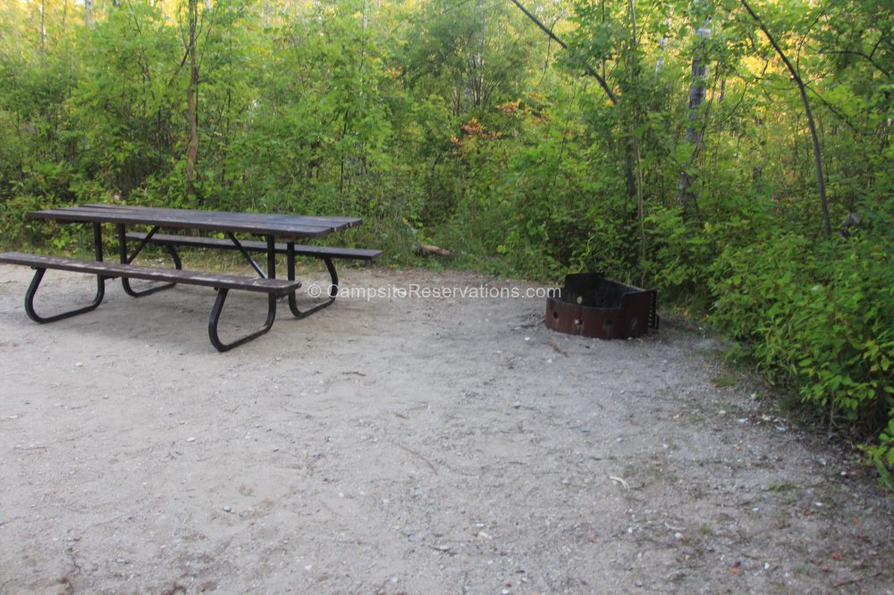 Photo of Campsite 264 in Huron Campground at MacGregor Point Provincial