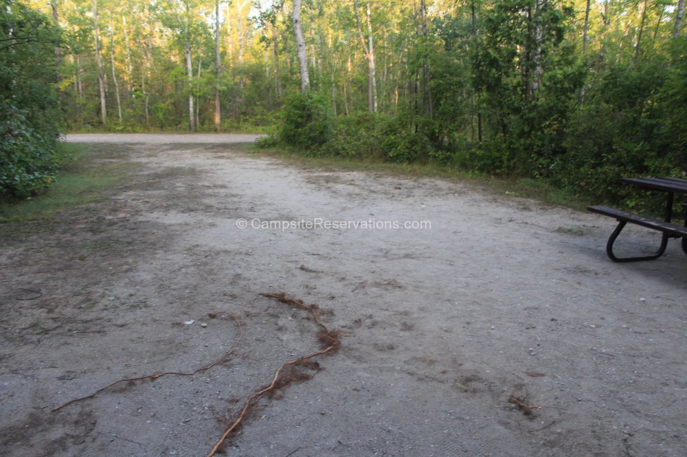 Photo of Campsite 264 in Huron Campground at MacGregor Point Provincial