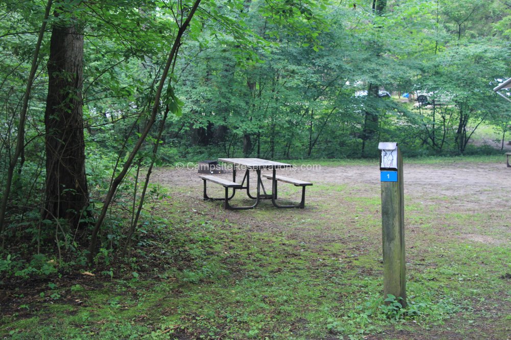 Campsite 001 in Mara Provincial Park Campground at Mara Provincial Park