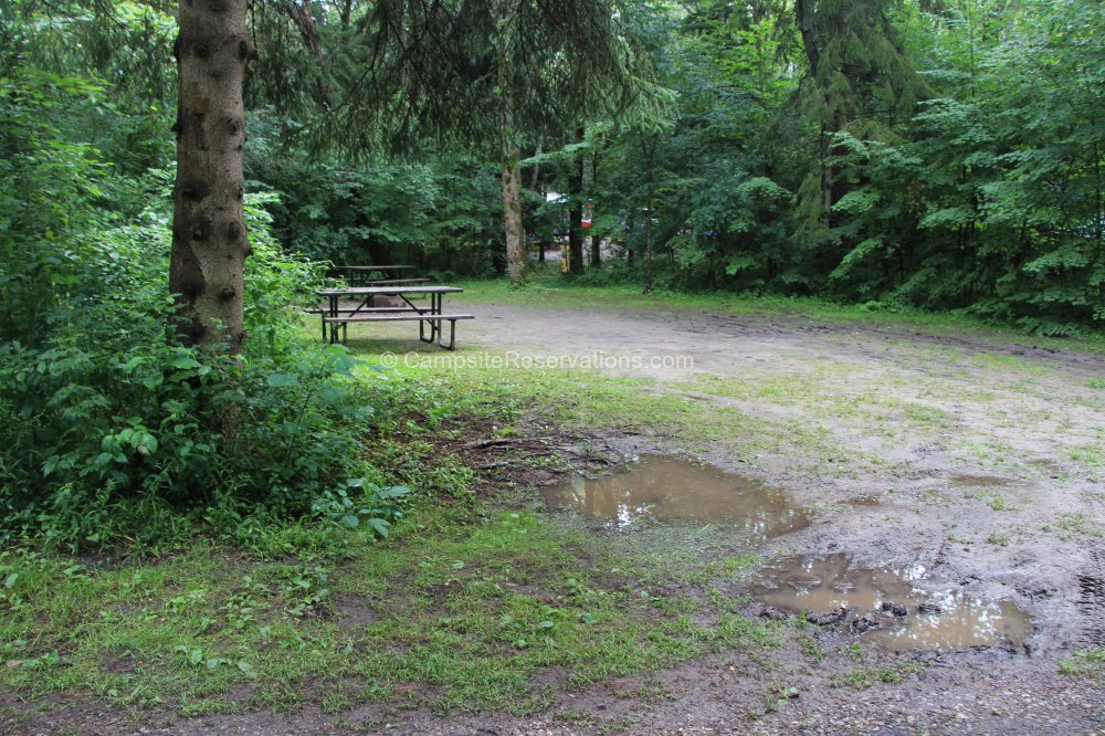 Campsite 018 in Mara Provincial Park Campground at Mara Provincial Park