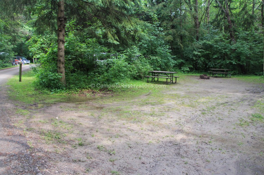 Campsite 018 in Mara Provincial Park Campground at Mara Provincial Park