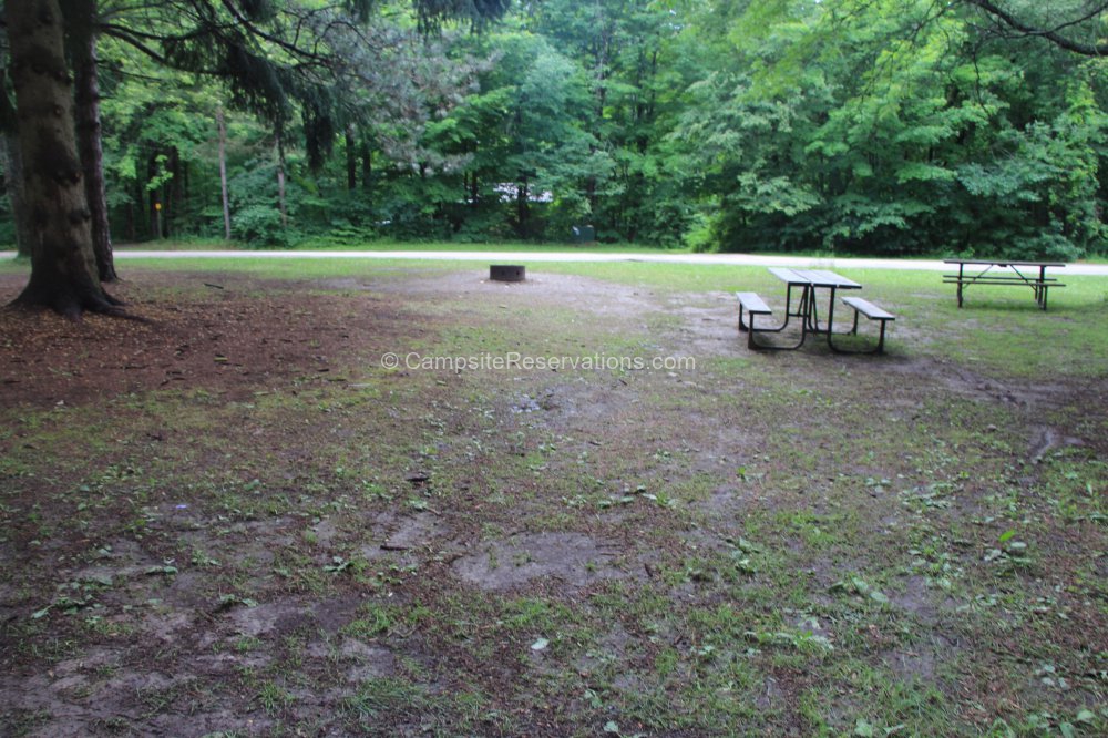 Campsite 056 in Mara Provincial Park Campground at Mara Provincial Park