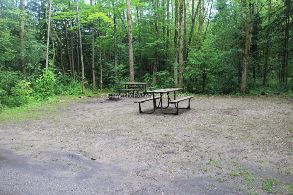 Campsite 088 in Mara Provincial Park Campground at Mara Provincial Park