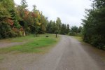 Click to enlarge Marten River Provincial Park, Ontario, Canada. Campground road down by the river.