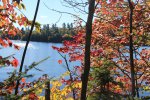 Click to enlarge Marten River Provincial Park, Ontario, Canada. Fall colours over the river from the campground.
