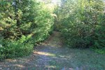 Click to enlarge Marten River Provincial Park, Ontario, Canada. Pathway between sites