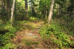 Click to enlarge Marten River Provincial Park, Ontario, Canada. Rough trail even on the short one.