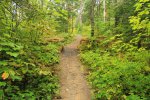 Click to enlarge Marten River Provincial Park, Ontario, Canada. Trail between campground areas.