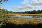 Click to enlarge Marten River Provincial Park, Ontario, Canada. View of marsh and river along longest trail.