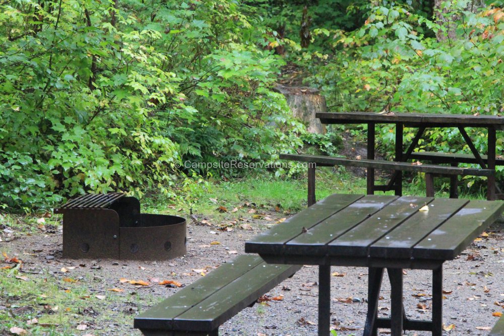 Campsite 124 in Assinika Campground at Marten River Provincial Park