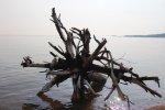 Click to enlarge Neys Provincial Park, Ontario, Canada. Clean natural beach
