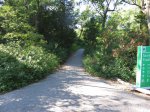 Click to enlarge The Pinery Provincial Park, Ontario, Canada. Bike path to Dunnes