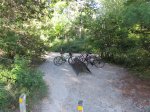 Click to enlarge The Pinery Provincial Park, Ontario, Canada. Dunes area bike parking for beach