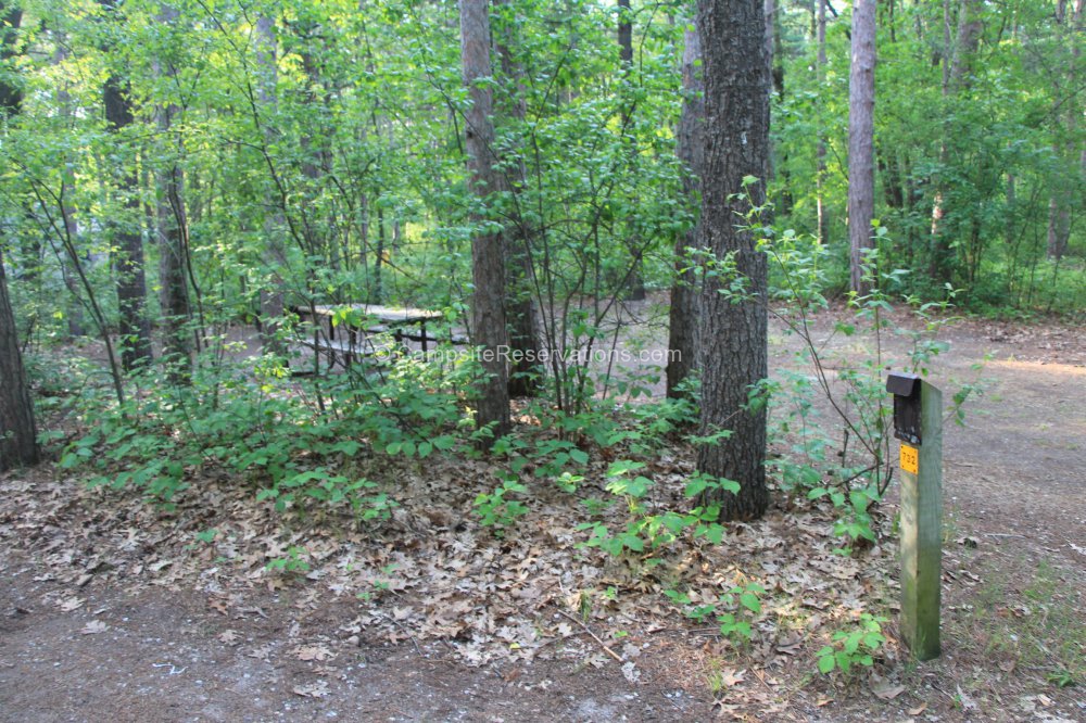 Campsite 732 in Riverside Campground at The Pinery Provincial Park