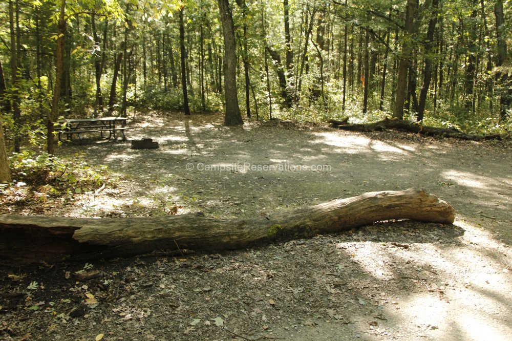 Photo of Campsite 561 in Riverside Campground at The Pinery Provincial ...