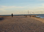 Click to enlarge Point Farms Provincial Park, Ontario, Canada. Park warden at dog beach