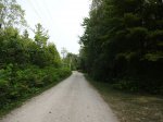 Click to enlarge Point Farms Provincial Park, Ontario, Canada. Road beside bluff in Colborne campground