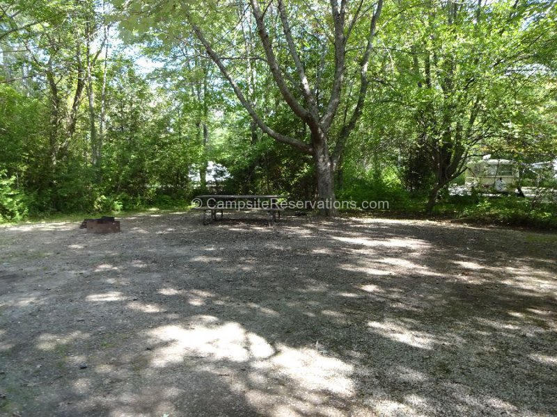 Campsite 120 in Colborne Campground at Point Farms Provincial Park