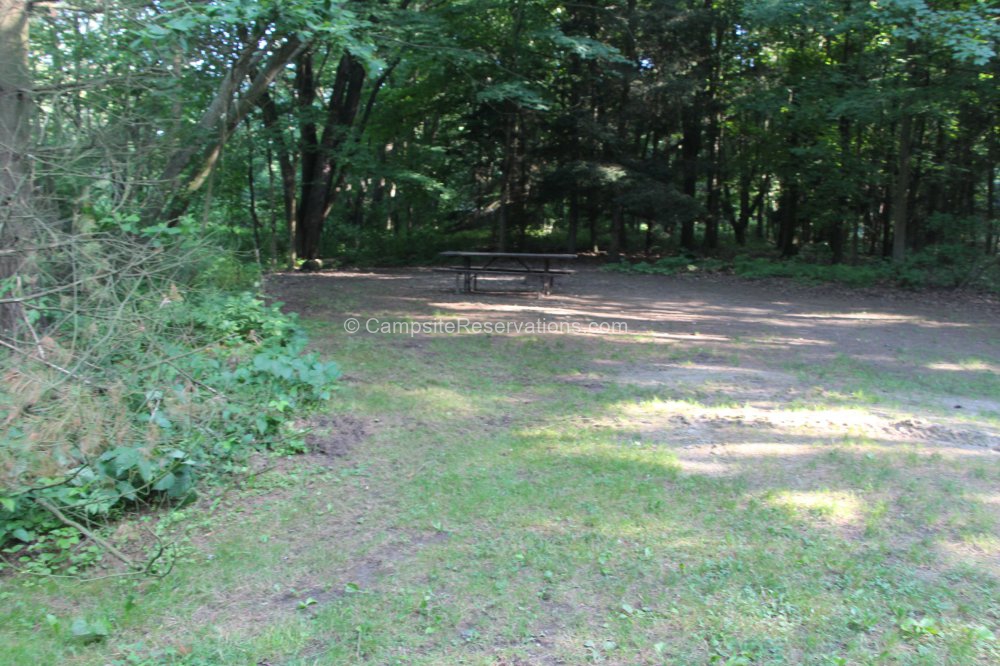 Photo of Campsite 195 in Iroquois Campground at Port Burwell Provincial Park, Ontario, Canada