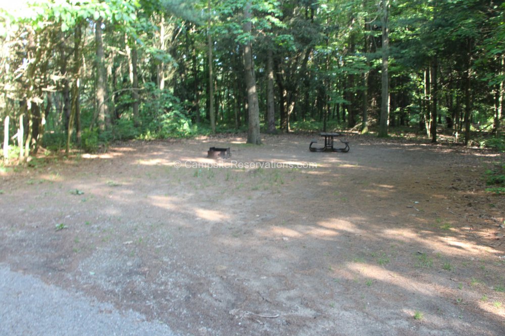 Photo of Campsite 197 in Iroquois Campground at Port Burwell Provincial Park, Ontario, Canada