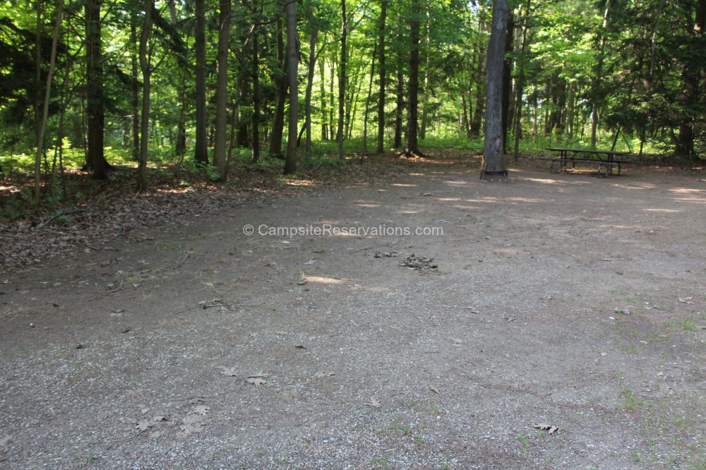Photo of Campsite 198 in Iroquois Campground at Port Burwell Provincial Park, Ontario, Canada