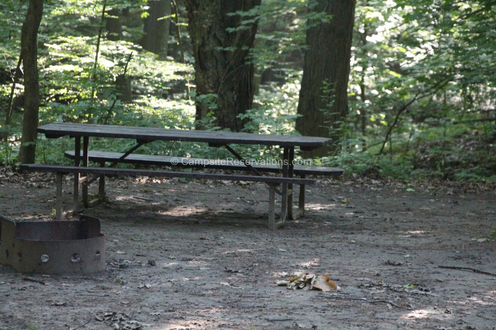 Photo of Campsite 203 in Iroquois Campground at Port Burwell Provincial Park, Ontario, Canada