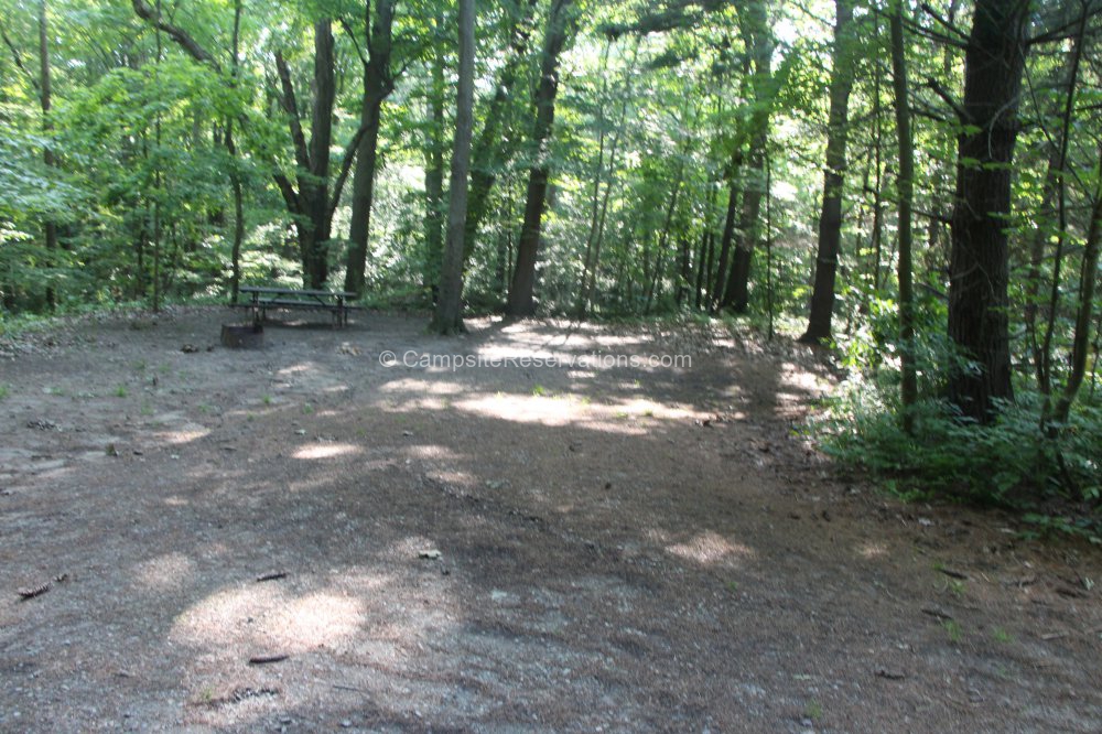 Photo of Campsite 203 in Iroquois Campground at Port Burwell Provincial Park, Ontario, Canada