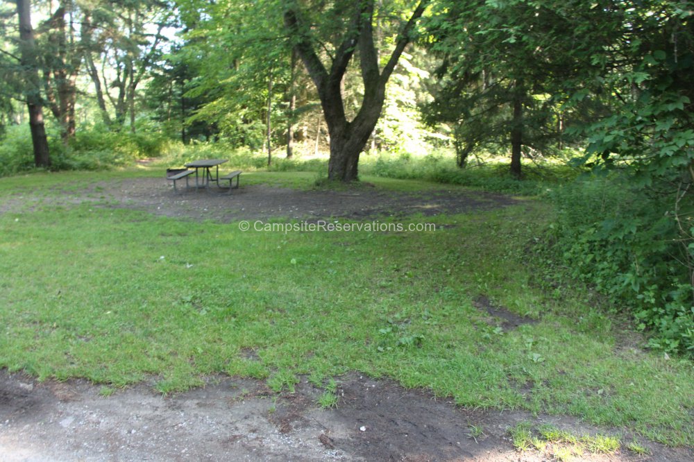Photo of Campsite 208 in Iroquois Campground at Port Burwell Provincial Park, Ontario, Canada