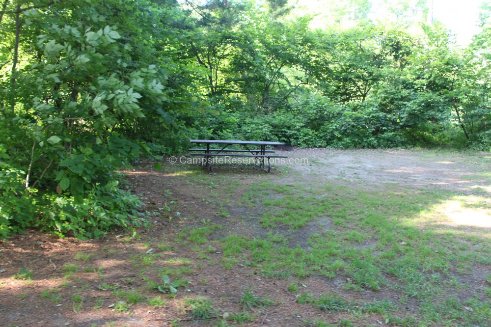 Photo of Campsite 214 in Iroquois Campground at Port Burwell Provincial Park, Ontario, Canada