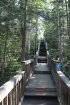 Click to enlarge Rainbow Falls Provincial Park, Ontario, Canada. Rainbow falls trail. Stairs at end of trail.