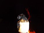 Rock Point Provincial Park, Ontario, Canada. Vegan marshmellow �. yummy.