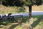 Click to enlarge Rondeau Provincial Park, Ontario, Canada. Bike racks at visitor centre